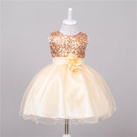 Girls Princess Dress – Short Front Long Back Tail Haielin