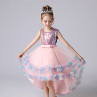 Lace Flower Girl Dress Princess Catwalk Gown Haielin